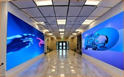شاشات LED — جامعة حائل